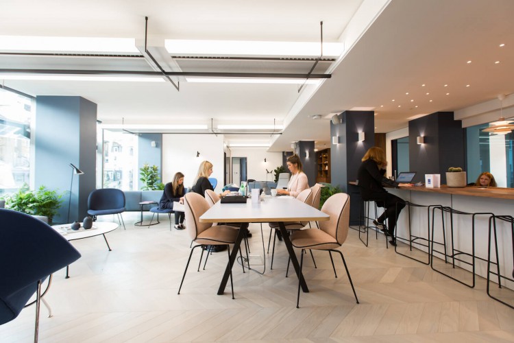 Open planned Co-Working area in Paddington, relaxed and professional atmosphere for companies to enjoy.